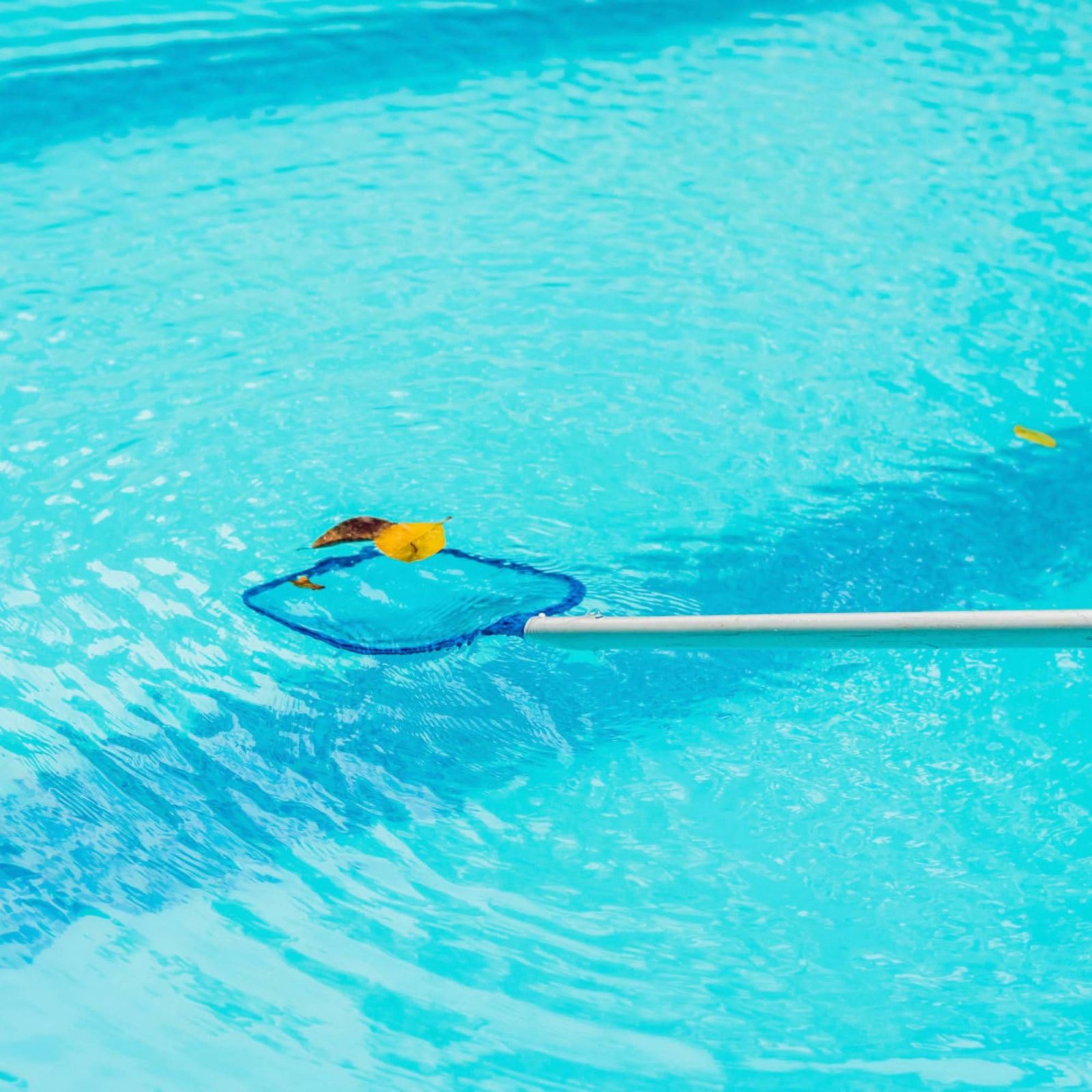 Rete per foglie rimovibile per - Pool Skimmer Net recensione e prezzo