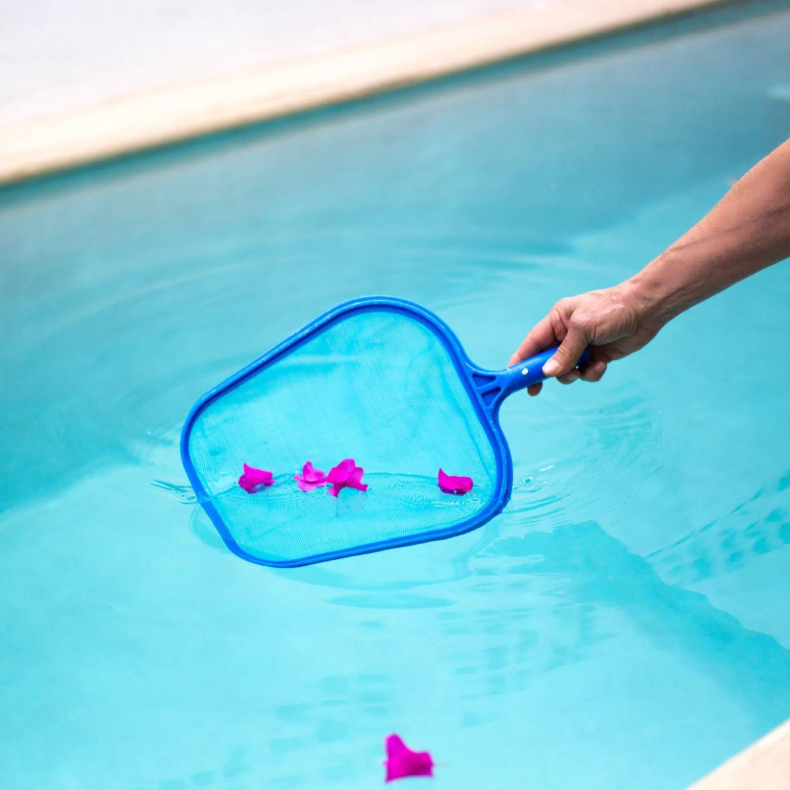 Rete per foglie rimovibile per - Pool Skimmer Net recensione e prezzo